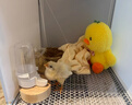 蘆丁雞喂食器飼料盒小雞食盒水槽水壺喂水飲水喝水臺用品自動(dòng)專(zhuān)用 方盒喂食器+小號喂水器200ml 曬單實(shí)拍圖