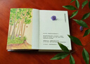 【發(fā)書(shū)評 贏(yíng)免單】家在小院里 厚閑 暖心治愈系漫繪本畫(huà)隨筆解壓焦慮插畫(huà)集藝術(shù)散圖文類(lèi)似你今天真好看追尋逝去的時(shí)光幾米蔡志忠書(shū)籍   曬單實(shí)拍圖