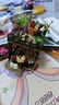 那家小屋diy小屋手工藝術(shù)森林奇遇別墅微縮積木拼裝立體解壓模型生日禮物 森林奇遇+音樂款+防塵罩+遙控 曬單實拍圖
