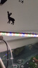 JUWEL高亮曾艷魚缸燈照明燈開關(guān)多功能變色led水族箱專用燈具燈管 燈長37CM（可用40-50CM）6瓦 T4雙排變色燈（單燈）USB接口 曬單實(shí)拍圖