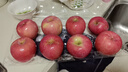 京鮮生 煙臺(tái)紅富士蘋果 8粒裝 單果160-190g 生鮮水果 曬單實(shí)拍圖