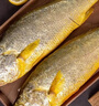 三都港 冷凍三去大黃魚凈重2斤/2條裝 寧德黃花魚 生鮮魚類 燒烤 曬單實拍圖