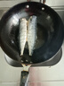 蓋世 鲅魚冷凍一斤裝  2條 海鮮鲅魚 生鮮烹飪食材 水產(chǎn) 曬單實拍圖