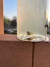 初構(gòu)想抓魚神器捕魚小溪捉魚撈魚兒童戶外塑料抓小魚小蝦全套工具抓魚瓶 【升級配重螺母】大號 (配約12米繩子+2包餌料+地插) 曬單實拍圖