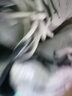 特步運(yùn)動(dòng)鞋男跑步鞋夏季網(wǎng)面透氣輕便減震正品男子跑鞋休閑鞋子灰色 曬單實(shí)拍圖