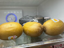 佳沛（zespri）新西蘭 陽(yáng)光金果12粒單果約122-146g 獼猴桃 中秋水果禮盒 曬單實(shí)拍圖