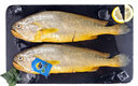 三都港 冷凍三去大黃魚(yú)凈重2斤/2條裝 寧德黃花魚(yú) 生鮮魚(yú)類(lèi) 中秋 曬單實(shí)拍圖