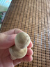貝初眾嬰兒花椒木磨牙棒3-6個月以上兒童出牙口欲期牙膠棒安撫玩具 花椒木磨牙棒【收納盒+紅繩】 1只裝（萌牙按摩師） 曬單實拍圖