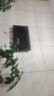 【家電補貼30％】全新55英寸液晶超清大內存超薄投屏智能平板電視 50LED高清護眼網(wǎng)絡(luò )版【74X44CM】 曬單實(shí)拍圖