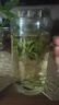 首宴茶葉綠茶特級白茶安吉2025年新茶明前春茶自己喝袋裝口糧茶250g 曬單實(shí)拍圖