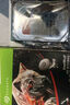 希捷（SEAGATE）企業(yè)級硬盤 8TB 256MB 7200RPM CMR垂直 SATA 希捷銀河Exos 7E10系列 服務(wù)器硬盤ST8000NM017B 曬單實拍圖