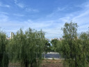 目立康(Menicon)硬鏡ok鏡除蛋白多功能rgp角膜接觸鏡塑形隱形眼鏡護理液 護理液240ml*2（120ml*4瓶） 曬單實(shí)拍圖