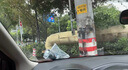 保賜利太陽(yáng)膜除膠劑汽車(chē)玻璃膜去除劑汽車(chē)膜專(zhuān)用清洗劑貼膜舊膜消除劑 曬單實(shí)拍圖
