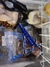海鼎紀鮮切魷魚(yú)須900g 海鮮 燒烤火鍋 鐵板魷魚(yú) 300g/包*3包 中秋 曬單實(shí)拍圖
