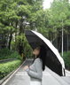 小米有品60骨全自動(dòng)雨傘大號(hào)女晴雨兩用遮陽傘防曬防紫外線晴雨傘暴雨專用 梧桐米-全自動(dòng)【60骨-升級(jí)雙段3 曬單實(shí)拍圖