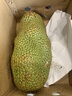海南榴蓮蜜當(dāng)季新鮮水果香甜軟糯熱帶水果三亞榴蓮批發(fā)一整個(gè)包郵 【人氣熱賣】5-6斤，實(shí)發(fā)1-4個(gè)裝 曬單實(shí)拍圖