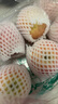佑嘉木（BlessedWood）山東紅富士蘋(píng)果新鮮水果70-85果徑脆甜紅富士 4.5斤中果普通裝 曬單實(shí)拍圖