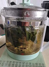 半球（PESKOE）養(yǎng)生壺?zé)畨責(zé)崴畨睾銣貕刂蟛鑹嘏莶鑹匾惑w玻璃全自動(dòng)小家用多功能辦公室大容量1.8L綠色 綠色 1.8L 半球養(yǎng)生壺配蛋架 曬單實(shí)拍圖