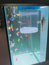 魚(yú)缸除藻去苔劑綠藻青苔凈水清除劑專(zhuān)用綠水褐藻絲黑毛藻 2L除藻王【除藻抑菌速見(jiàn)效】 曬單實(shí)拍圖