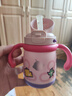 babycare兒童保溫杯嬰兒寶寶吸管水杯霸王龍不銹鋼保溫杯300ml-新舊款混發(fā) 曬單實拍圖