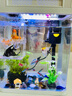 寵街坊小魚缸一體缸自循環(huán)水族箱桌面客廳小型送禮生態(tài)魚缸造景240 曬單實拍圖