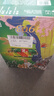 青島啤酒（TsingTao）經(jīng)典（1903）330ml*24聽(tīng) 整箱裝 原麥汁濃度10.0°P  中秋節送禮 曬單實(shí)拍圖