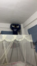 家電清洗 不限品牌 上門服務(wù) 清潔保養(yǎng) 空調(diào)單掛拆洗 清洗套餐 空調(diào)單掛拆洗 曬單實拍圖
