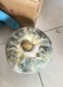 京喜加百萬復(fù)購貝貝南瓜板栗味小南瓜正宗新鮮粉糯香甜單果100g起 貝貝南瓜 500g ±50g 小果 曬單實拍圖