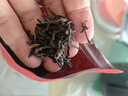 小茶日記茶葉紅茶正山小種濃香型紅茶罐裝500g新茶茶葉禮盒送禮袋 曬單實(shí)拍圖