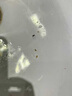 康佳（KONKA）康佳超聲波潔牙器洗牙器結石去清除潔洗牙齒沖洗器去黃牙結石神清潔器煙漬茶漬工具醫(yī)用母親節(jié)禮物 星空藍95%選擇【真超聲波醫(yī)療器械認證】 4支噴頭 曬單實拍圖
