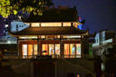 尼康Nikon 全新 Z DX 50-250mm  遠(yuǎn)攝變焦 套機(jī)鏡頭 國際版 半畫幅 Z DX 50-250mm 標(biāo)配 曬單實(shí)拍圖