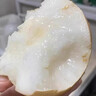 融鮮山東萊陽(yáng)秋月梨新鮮水果禮盒冰糖雪梨子當季應季水果中秋節送禮物 5斤精選果丨單果9兩+ 凈重4.5斤 曬單實(shí)拍圖