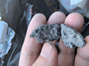 瘋狂水草黑色火山石魚缸專用養(yǎng)魚過濾底沙顆粒魚缸造景底砂裝飾養(yǎng)烏龜專用 曬單實(shí)拍圖