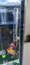 啟利魚(yú)缸溫度計養魚(yú)水溫計水族測溫儀器潛水式烏龜缸高精度數顯溫度表 玻璃漂浮款【帶吸盤(pán)】 曬單實(shí)拍圖