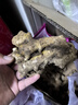 京鮮生 云南小黃姜 凈重3斤 生姜 新鮮蔬菜 源頭直發(fā) 曬單實拍圖