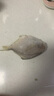 龍味福銀鯧魚(yú)新鮮活海捕速凍銀鯧魚(yú)白鯧舟山銀鯧魚(yú)金鯧魚(yú)平魚(yú)深海魚(yú) 銀鯧魚(yú)凈重3斤（固形物≥80%） 活魚(yú)急凍鎖鮮 曬單實(shí)拍圖