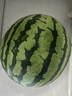 【產(chǎn)地直采】麒麟奶油西瓜 約5.5kg 曬單實(shí)拍圖