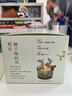 希望樹柚林山風(fēng)晶石香薰室內(nèi)香氛精油擴(kuò)香石無火香薰 曬單實(shí)拍圖