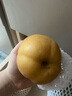 京覓山東豐水梨  凈重4.5斤單果300g+ 新鮮水果源頭直發(fā)包郵 曬單實(shí)拍圖