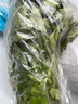 番茄約500g 曬單實(shí)拍圖
