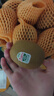 佳沛（zespri）新西蘭陽光金果10個裝獼猴桃單果重約101-124g水果獼猴桃 曬單實拍圖