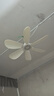 志高（CHIGO）小吊扇 小型電風扇 小風扇家用學生宿舍床上大風力6頁蚊帳扇懸掛式微風吊扇便攜小電扇 新升級-標配款6葉 曬單實拍圖