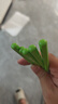 Kasimir卡西米爾鉛筆小綠桿小學(xué)生hb2b書寫筆一年級(jí)考試專用涂卡筆 HB-15支 曬單實(shí)拍圖