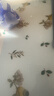 后蓋者 【奢華定制】榮耀magic6至臻版手機(jī)殼電鍍高檔無邊框magic6 RSR保時(shí)捷手機(jī)保護(hù)套真皮全包保護(hù)殼 電鍍背殼蜥蜴肚紋優(yōu)雅白 曬單實(shí)拍圖