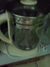 九陽（Joyoung）0膠水養(yǎng)生壺 1.5L煮茶器 玻璃花茶壺 316不銹鋼燒水壺電熱水壺 WY301 曬單實拍圖
