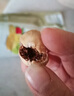 北京同仁堂新疆凈重?zé)o花果特產(chǎn)天然新貨原色孕婦批發(fā)營養(yǎng)零食干果即食煲湯 500克精選無花果 曬單實拍圖