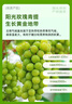 京鮮生國產(chǎn)陽光玫瑰凈重4.5斤單果10g 葡萄/提子生鮮水果 源頭直發(fā)包郵 曬單實拍圖
