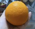 新奇士（Sunkist）澳洲早熟臍橙4粒 單果180g起 新鮮水果 中秋水果 曬單實(shí)拍圖