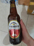千島湖啤酒（CHEERDAY）千島湖啤酒 精釀原漿420ml*12瓶 團(tuán)購經(jīng)典原漿啤酒瓶裝整箱 精釀420mLx12瓶 曬單實(shí)拍圖