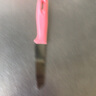 家用不銹鋼水果削皮刀廚房神器瓜果切刀果皮小刀削皮器隨身刀 顏色隨機-1把 曬單實(shí)拍圖